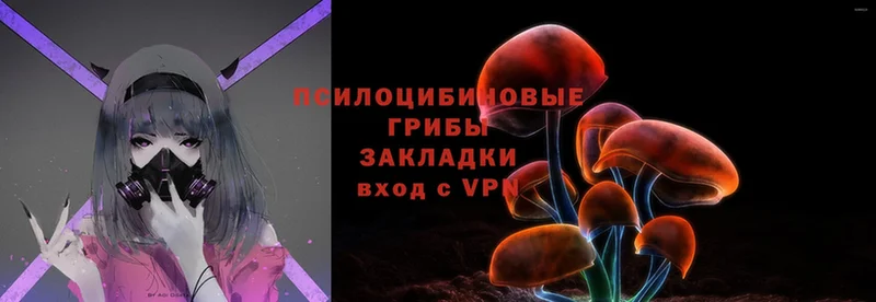 Галлюциногенные грибы Magic Shrooms  как найти наркотики  Валдай 